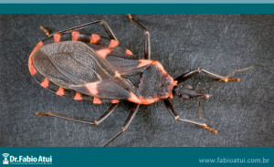 Doença-de-Chagas-pode-afetar-o-intestino?-dr-Fabio-Atui