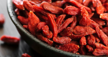 O-que-e-goji-berry-dr-fabio-atui