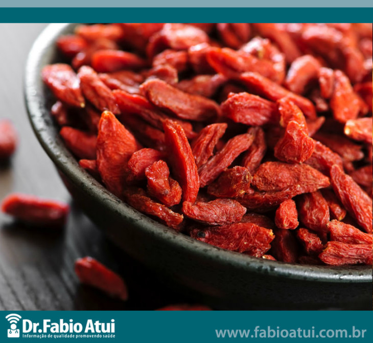 O-que-e-goji-berry-dr-fabio-atui