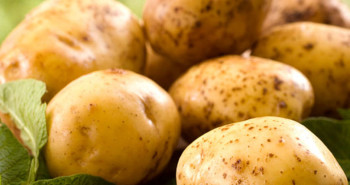 descubra-as-qualidades-nutriconais-da-batata-dr-fabio-atui