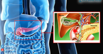 Retirada da vesícula biliar - Por Dr Fabio Atui - Cirurgia do Aparelho Digestivo e Coloproctologista