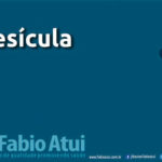 Vesícula - Por Dr Fabio Atui - Cirurgia do Aparelho Digestivo e Coloproctologista